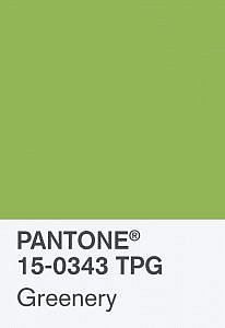 Pantone Colour of the Year Greenery, Pantone 15-0343 TPG Card