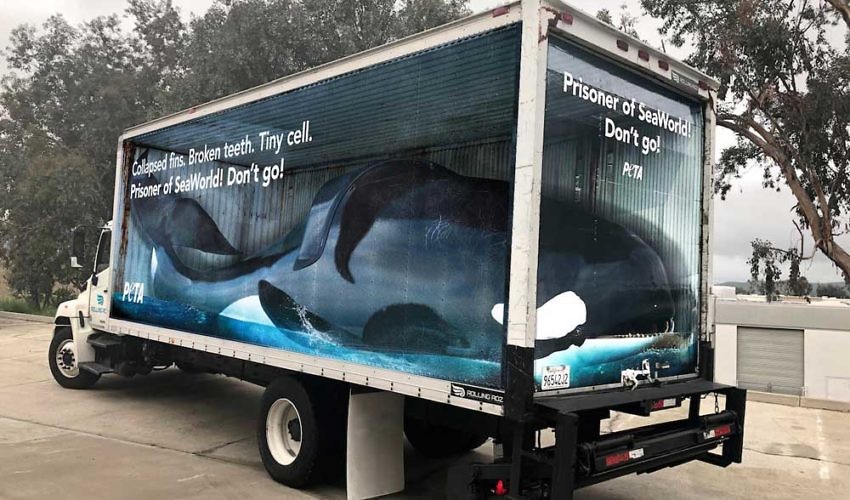 PETA: Boycott SeaWorld - Campaign
